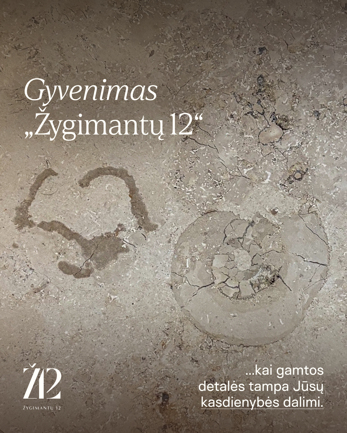 08.00 Žygimantų statinis